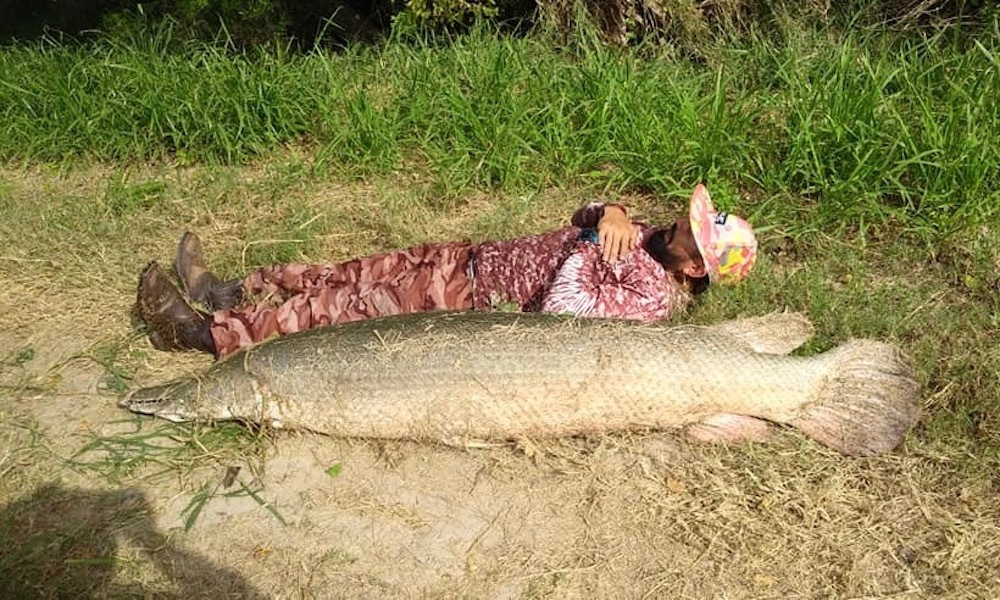 White River Monster Strange Animals Podcast