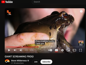 200 mini frogs prank｜TikTok Search