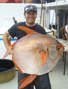 Sydney Fish expert reveals the ugly blobfish is edible and tasty